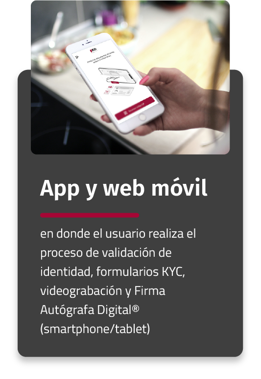App y Web Móvil
